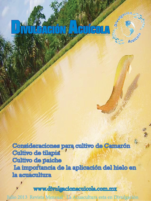 Revista del mes de Julio/2013