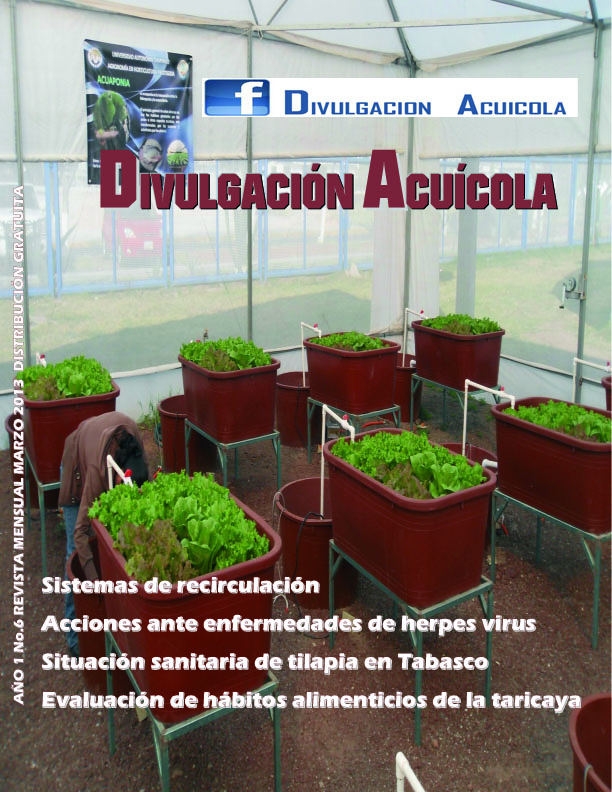 Revista del mes de Marzo/2013