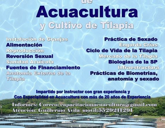 Curso Intensivo de Acuacultura y Cultivo de Tilapia