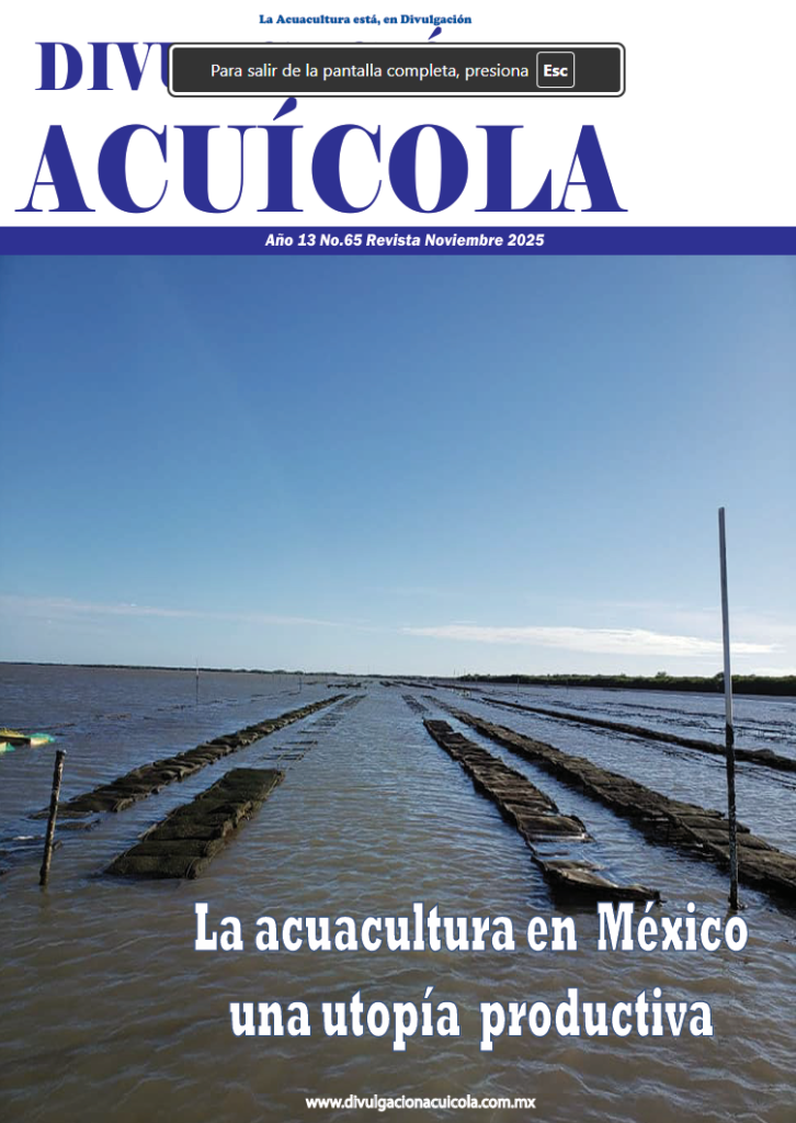 Revista Noviembre de 2025